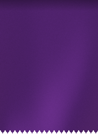 Velours Améthyste